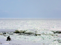�C���[�W03